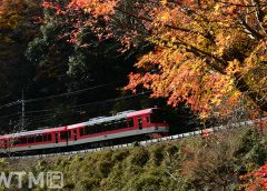叡山電鉄900系電車「きらら」(i_moppet/shutterstock.com)