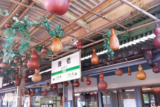 養老鉄道 秋だけの500円安いフリーきっぷ発売 おトクな往復割引も オフピーク利用限定