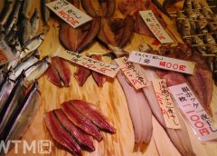 函館市内の市場の鮮魚うりば(イメージ)(iziz/写真AC)