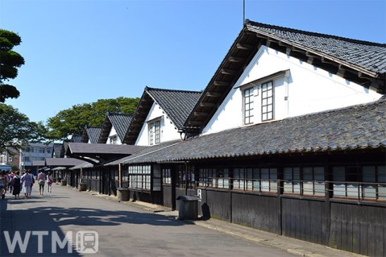 東北観光の活性化へ「TOHOKU MaaS」再始動 一関デマンド交通もより便利に JR東日本