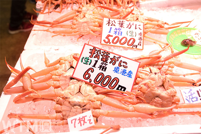 鳥取県境港市の直売所に並ぶ「松葉ガニ」(イメージ)(funboxphoto/写真AC)