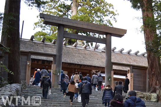 伊勢神宮・橿原神宮へ 近鉄から新春きっぷ3種類 阪神共通の神戸〜奈良間1日乗り放題も