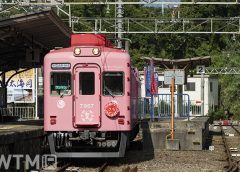 加太線加太駅に停車中の南海7100系「めでたいでんしゃ さち」(Kizzgawa/写真AC)
