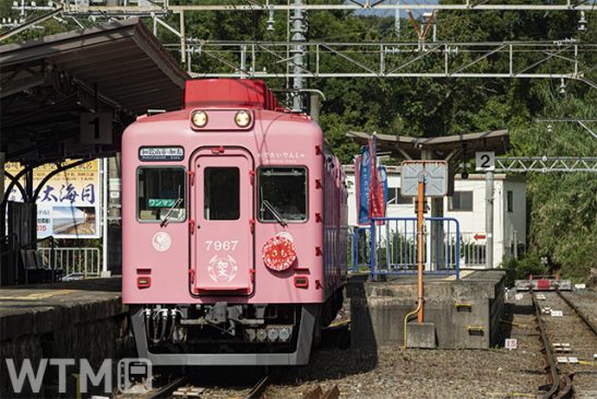 先行発売がよりおトク「新春乗り放題きっぷ」 お好きな2日利用可 南海・泉北高速鉄道