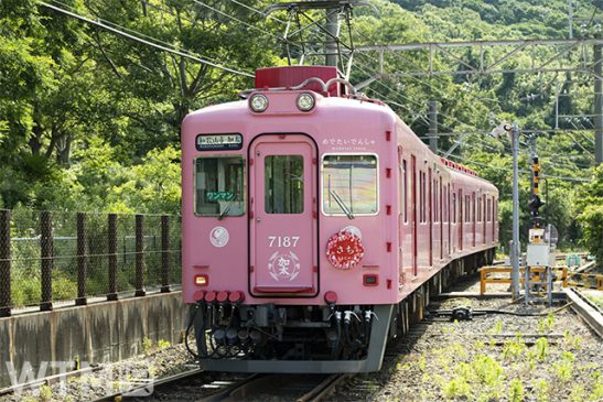 南海からクリスマスプレゼント 全線で運賃無料! Visaのタッチ決済 1日限定キャンペーン
