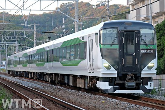 「開運初詣号」初登場 リニューアル車両で鹿島神宮へ 各地から成田へ快速も JR東日本