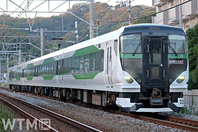 JR東日本E257系5000番台電車(Sakurayama 7 /Wikipedia, CC 表示-継承 4.0)