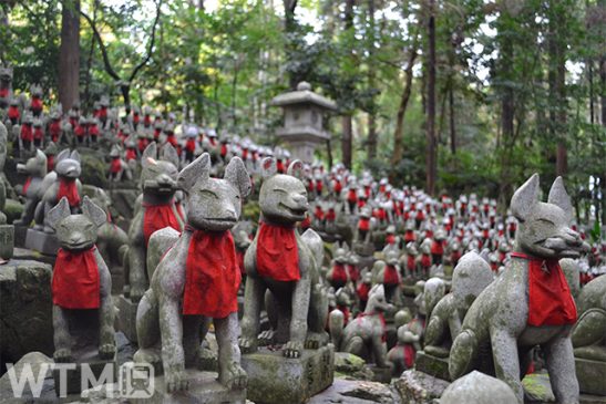 商売繁盛は豊川稲荷へ 名鉄からフリーきっぷ3種 お土産・グルメ・御祈祷から選べます