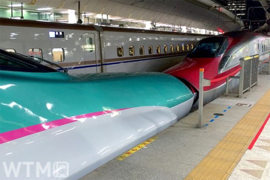 ポイント半分で乗れる「新幹線YEARスペシャル」 JR東日本の特典チケット 5方面に設定
