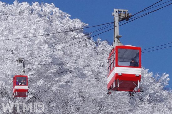 日光・鬼怒川「週末フリーデー」10日間開催 エリア内電車・バス無料 要事前申込 東武