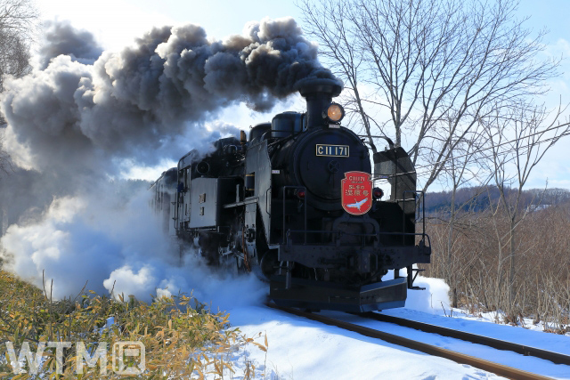 「SL冬の湿原号」をけん引するJR北海道の蒸気機関車C11型171号機(中村　昌寛/写真AC)