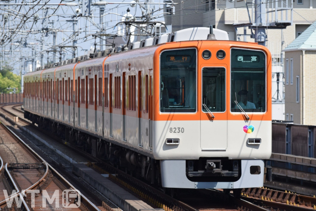 阪神8000系電車(ふじやん⭐︎/写真AC)