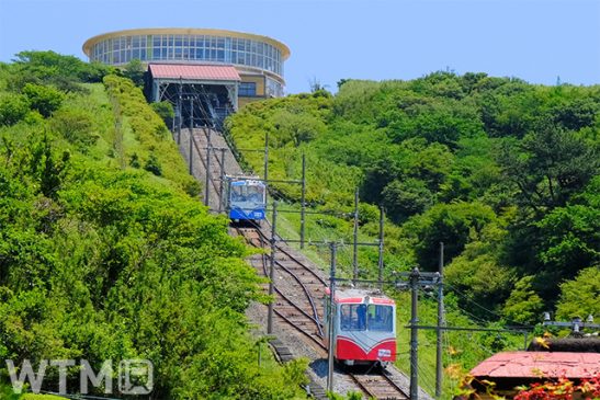 静岡「十国峠ケーブルカー」富士急行傘下で再出発 10日再開 伊豆箱根鉄道から事業譲渡