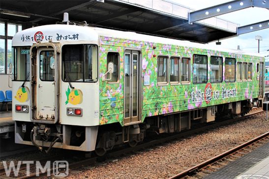 土佐くろしお鉄道ダイヤ改正 ごめん・なはり線減便 中村・宿毛線は最終特急の行先変更