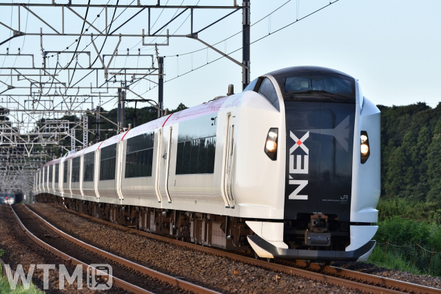 特急「成田エクスプレス」で運行しているJR東日本E259系電車(ちゃんこちゃんこ/写真AC)