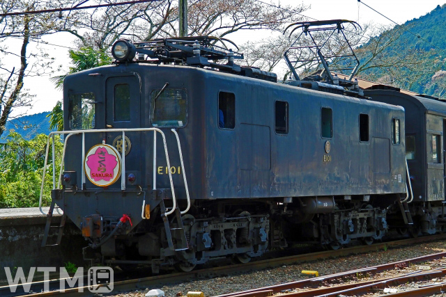 EL急行「さくら号」をけん引する大井川鐵道E10形電気機関車(八木迷々/写真AC)