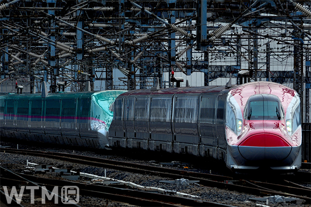 秋田新幹線E6系(右)と東北新幹線E5系との併結運転(Harusz/写真AC)