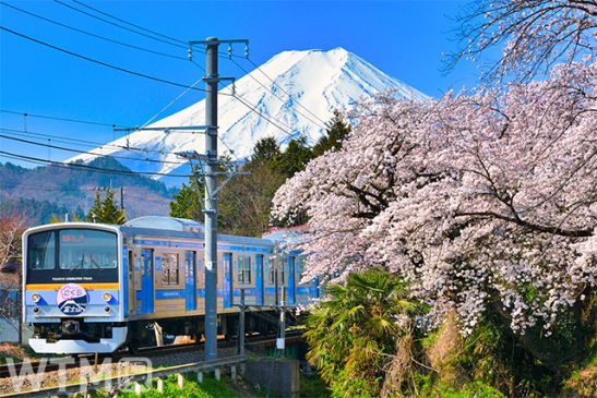 創業当時の社名「富士山麓電気鉄道」4月出発 1〜3日は「子ども無料デー」 富士急行線