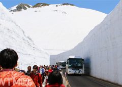 立山黒部アルペンルート「雪の大谷ウォーク」(３０１/写真AC)