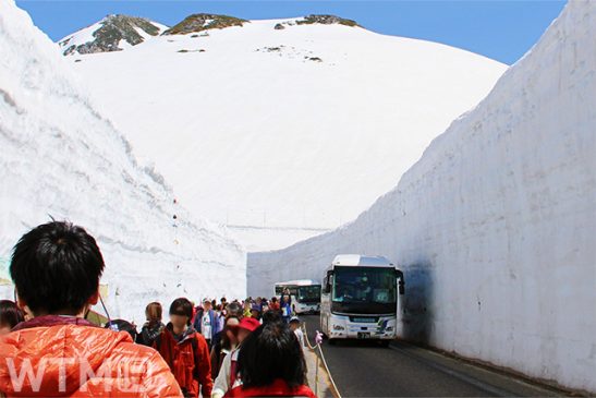 全線開通! 立山黒部アルペンルートが乗り放題 往復JR付き「アルペンきっぷ」がおトク
