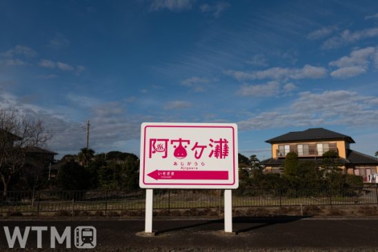 【週間TOP5】渋滞なしで茨城「ネモフィラ」へ 地方に住むと痛感“遠い存在”ローカル線