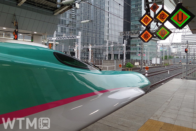 東京駅に停車中の東北新幹線E5系(FranckinJapan/Pixabay)