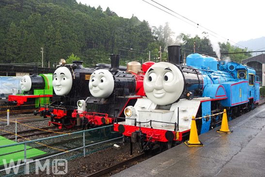 大井川鐵道「きかんしゃトーマス号」GW始動 四角い仲間「トビー号」井川線に8月登場