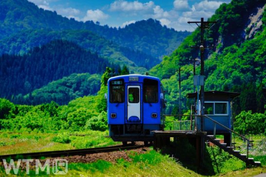 東急5000系“青ガエル” 「田んぼアート」絵柄に 秋田内陸線の車窓から自然の絵画を鑑賞
