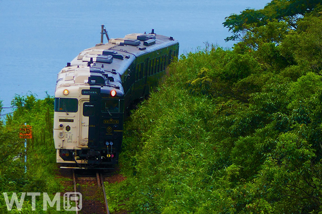 D&S列車「指宿のたまて箱」として運行しているJR九州キハ47形気動車(太陽sun/写真AC)