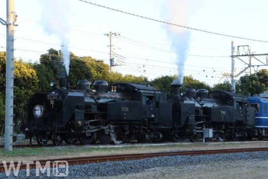 東武“SL大樹”3機体制に 「C11-123」運転開始へ 大手私鉄初の動態復元 3重連イベントも