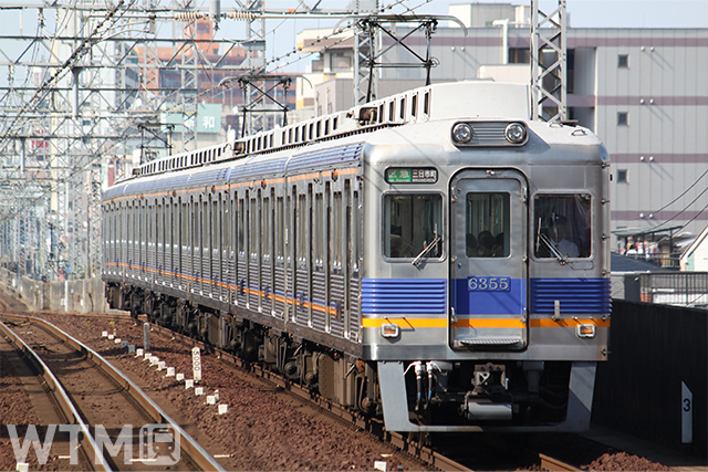 南海6300系電車(Apple Express Japan/Shutterstock)