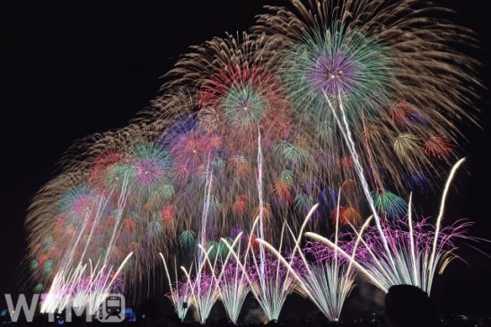 夏の花火大会で臨時列車多数 新幹線も在来線も 長岡・柏崎・鶴岡ほか新潟・庄内エリア