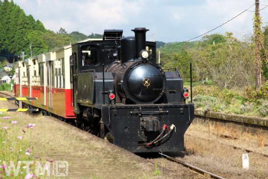夏休み旅は小湊鐵道「房総里山トロッコ」で 中学生まで整理券無料 車内販売列車も運行