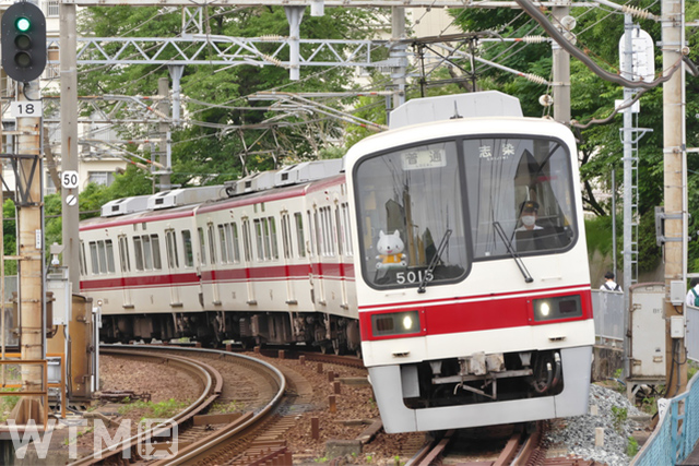 神戸電鉄5000系電車(KKiSM/Photolibrary)