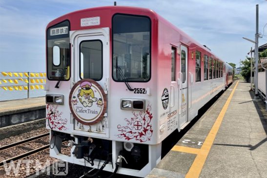 西九州新幹線開業 “長崎県MaaS”で交通を便利に JR九州・島原鉄道・松浦鉄道など連携