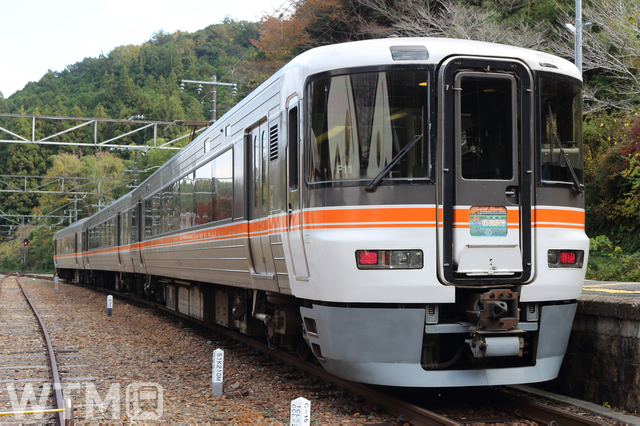 急行「飯田線秘境駅号」として運行するJR東海373系電車(まさくん/PIXTA)