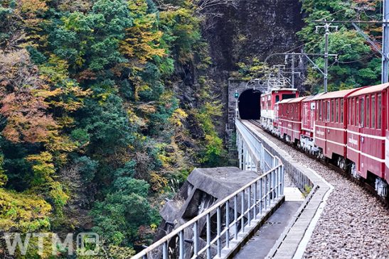 不通の大井川鐵道 井川線が8日一部運転再開 「トーマス号」含む大井川本線は12月以降