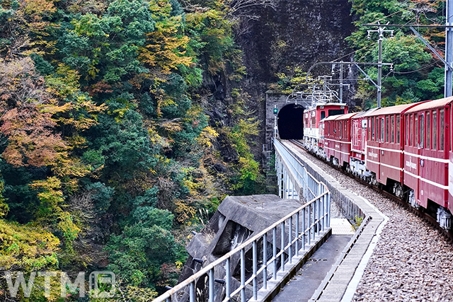 紅葉が色づく井川線を走行する大井川鐵道のアプト式列車(はしぞうはしぞう/写真AC)