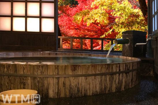 準備煩雑「全国旅行支援」 旅行会社の販売に遅れ 多くの都道府県で11日開始間に合わず