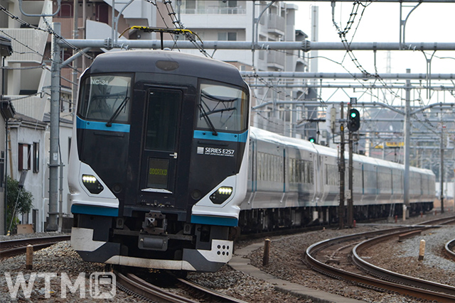 東海道線特急「踊り子」「湘南」などで運行しているJR東日本E257系電車(Katsumi/TOKYO STUDIO)