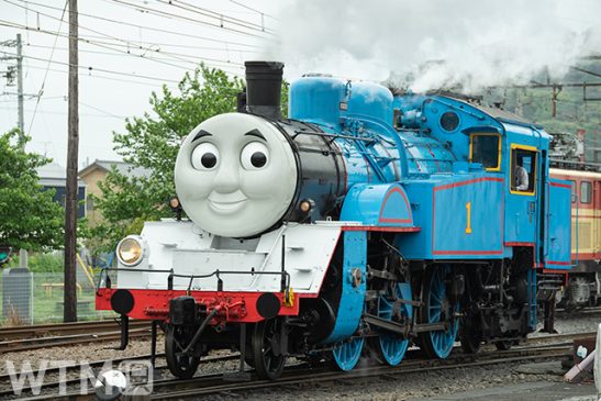 「きかんしゃトーマス号」最多の年122日運転 初めての企画“特別運転”って? 大井川鐵道