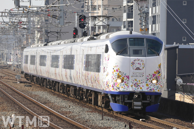 特急「はるか」で運行しているJR西日本281系電車「ハローキティ はるか」ラッピング列車(KKiSM/Photolibrary)