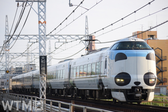 「パンダくろしお」ラッピング列車として運行しているJR西日本287系電車(80000/写真AC)