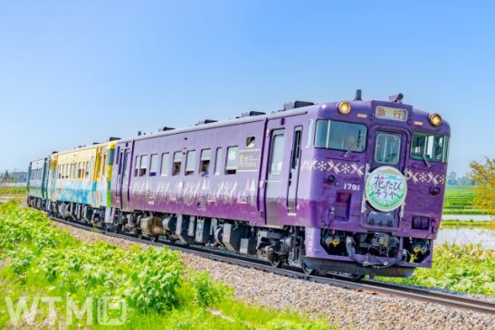 今年は4両に増車! 観光列車「花たび そうや」号 宗谷線を6時間で走破 新たに車内販売も
