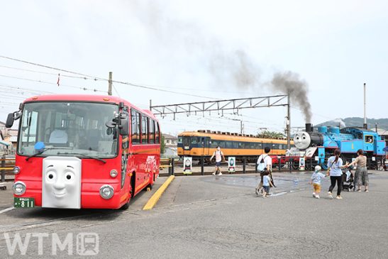 きかんしゃトーマス号 “金曜日はちょっと遅め” 初の「イブニング特別運転」 大井川鐵道