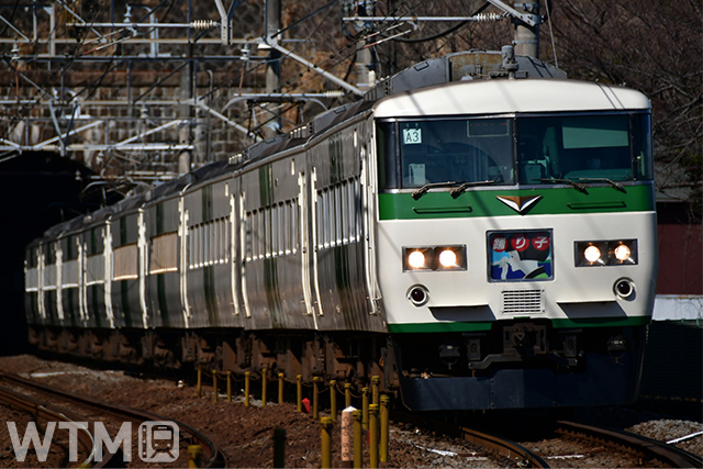 特急「踊り子」の定期運用を2021年3月に終了したJR東日本185系電車(E259/写真AC)