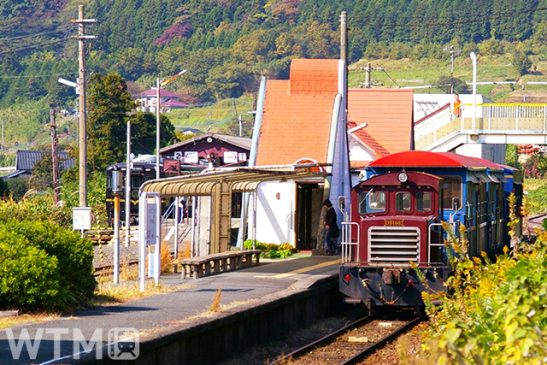 7年ぶり南阿蘇鉄道が全線開通 JR乗り入れ開始 「ONE PIECE」コラボで列車が海賊船に!