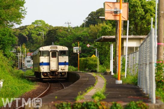 小学生は冒険へ! 100円でJR九州全線乗り放題 夏休み旅行は「こどもぼうけんきっぷ」で
