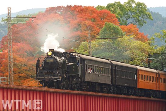 川根温泉まで復旧 観光強化で「ナイトSL」登場 大井川鐵道ダイヤ改正 普通電車は半減