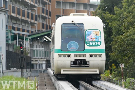 新交通システムに「駅弁」 ユーカリが丘線で販売 開業40周年で初めて 系列ホテル特製